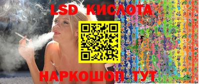 спиды Дубна
