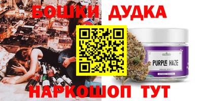 спиды Дубна