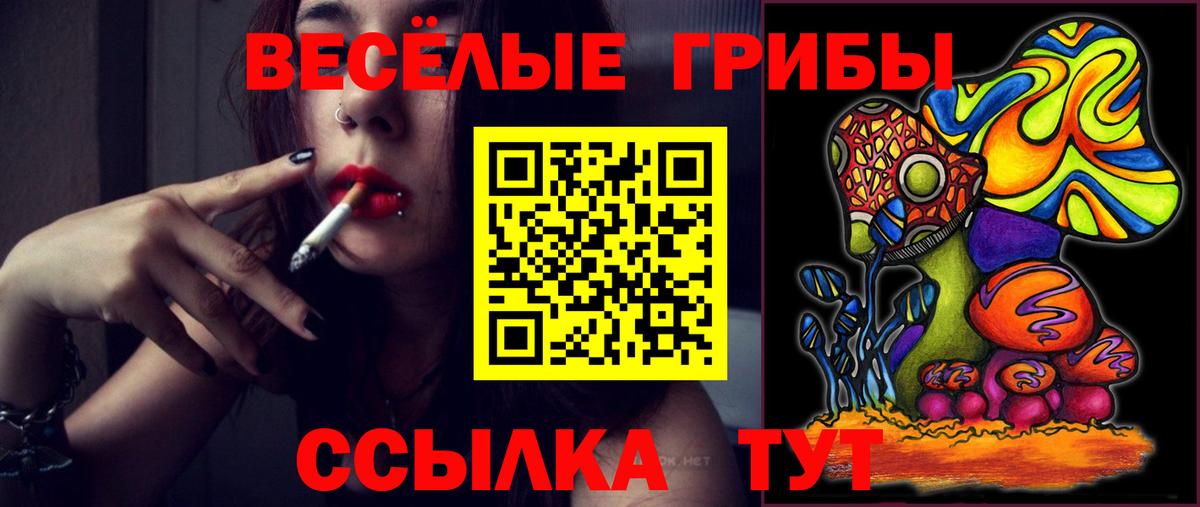 Муравленко  Галлюциногенные грибы прущие грибы  Вход с VPN 
